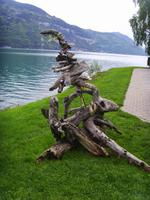 Zauberbaum