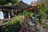 auf dem Blumenmarkt