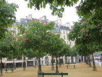 Íle de la Cite