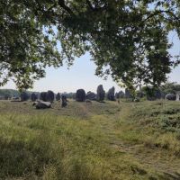 013 Carnac