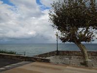 023 Santa Severa