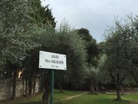 024Im Park fanden schon viele Jazzkonzerte statt