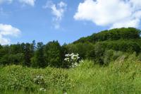 1.Tag, Anreise