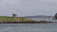 10-10_Golf von Morbihan.JPG
