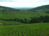 4_Ausflug Weinmuseum (1)