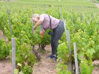 4_Ausflug Weinmuseum (8)