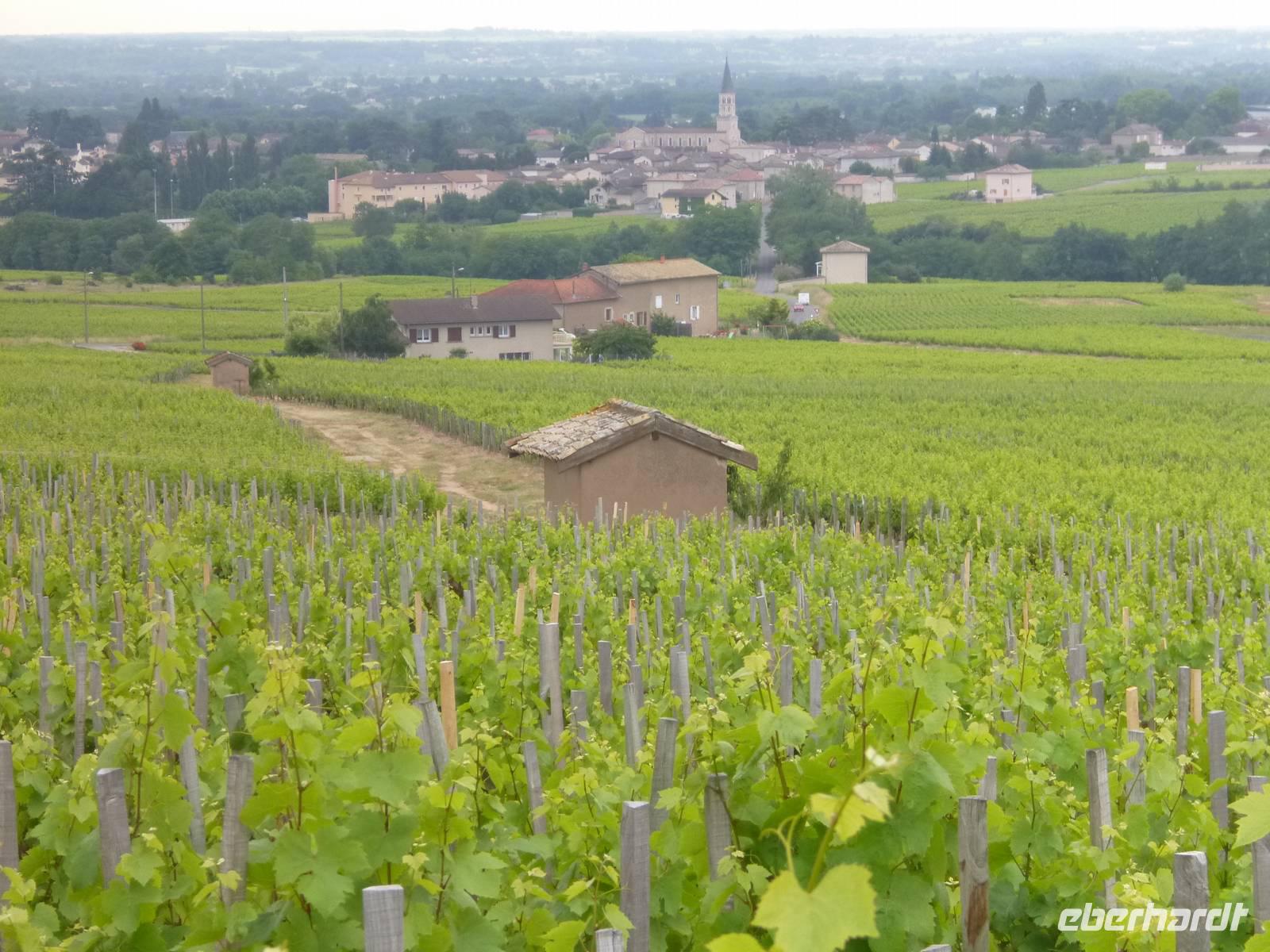 4_Ausflug Weinmuseum (9)