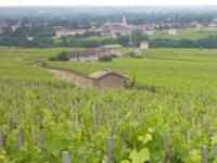 4_Ausflug Weinmuseum (9)