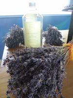 5_Landausflug Ardeche (17)