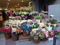 Blumenladen in Paris