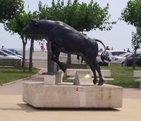 der Stier von st-marie-de-la-mer