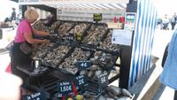 Austernmarkt Cancale