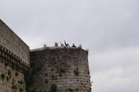 Blick von der Festung Concarneau