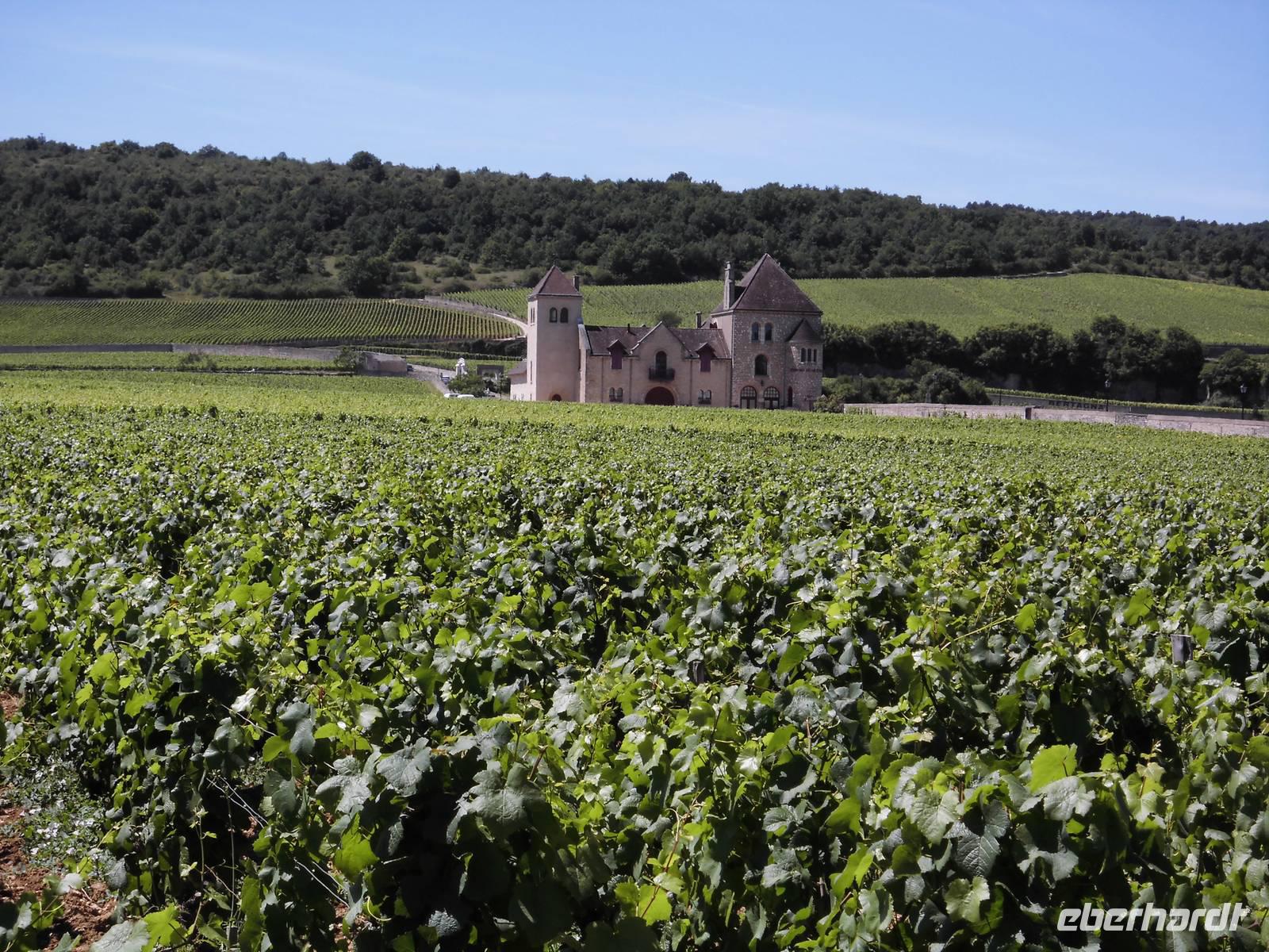 Besuch in einer Domäne