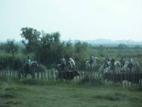 einert ist ausgesucht für die Arena