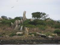 Menhirsteine auf Inseln im Golf von Morbihan