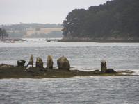 Menhirsteine auf Inseln im Golf von Morbihan