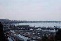 Hafen und La Croisette in Cannes