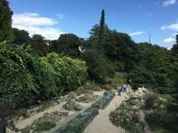 IMG_7491_Jardin des Plantes