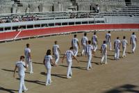 Stiershow in der Arena 