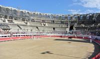 Stiershow in der Arena von Arles 
