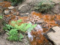 149Das Blut der untreuen Männer