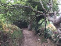 216Wanderung zu den Menhiren von Kerzerho