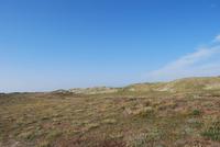 236Dünen der Fackelbucht