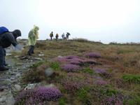 284 ... und Flora an der Küste