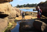 382Rosa Granitküste