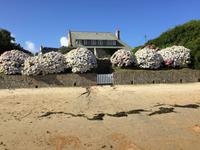 385Rosa Granitküste