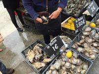 481Austernmarkt in Cancale