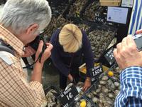 482Austernmarkt in Cancale