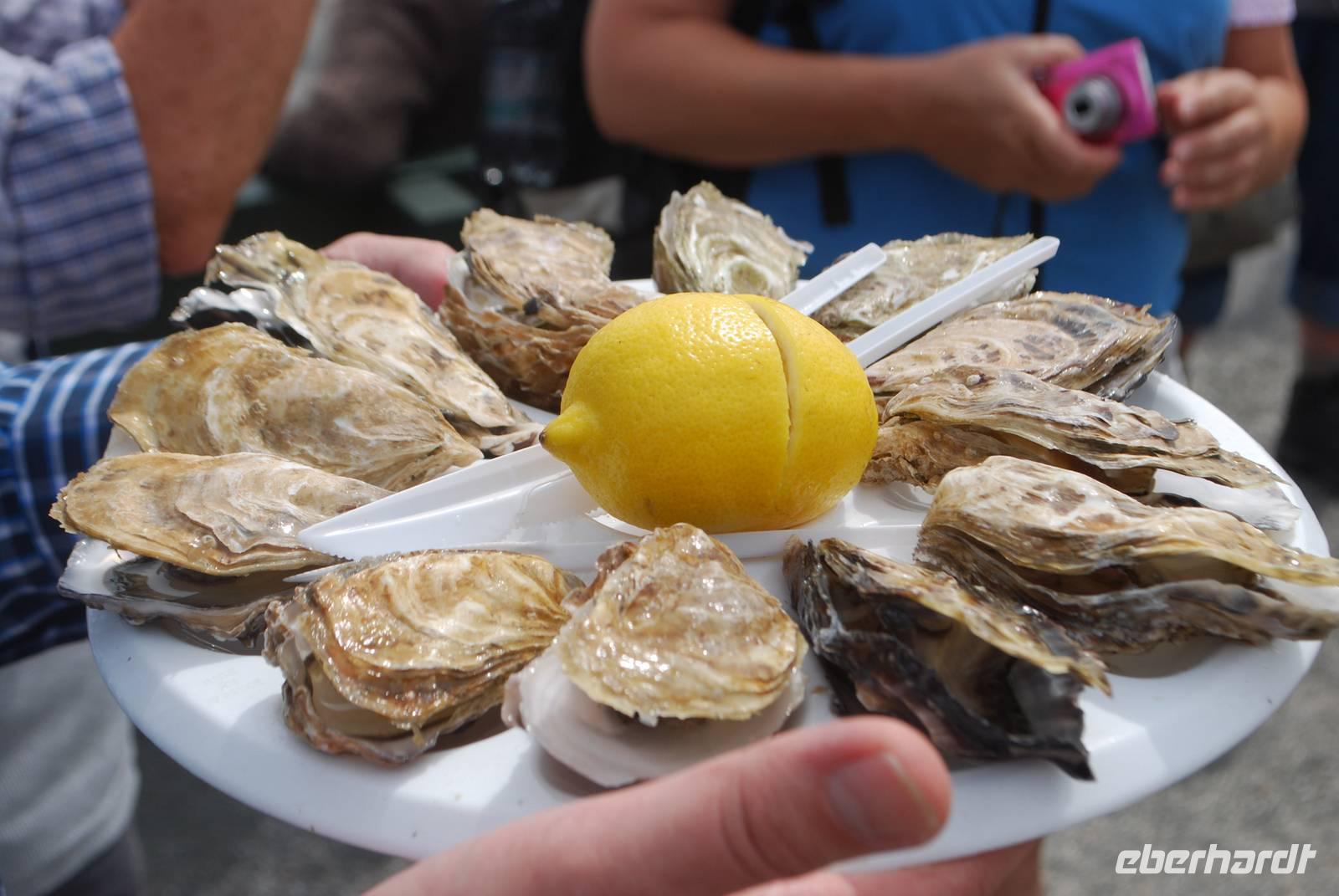 487Austernprobe in Cancale