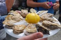 487Austernprobe in Cancale