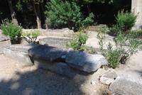 104. Alyscamps Arles