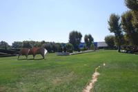 132. römischer Garten Arles