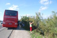 167. Eberhardt Reisegruppe beim Flamingos fotografieren