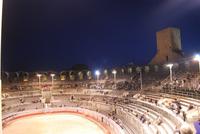 172. Arenen von Arles