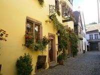 Viele Häuser von Riquewihr tragen schönen Blumenschmuck