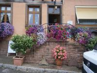 Geschäft der Fa. Ruhlmann