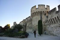 Stadtmauer von Avignon