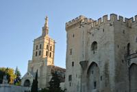 Kathedrale von Avignon