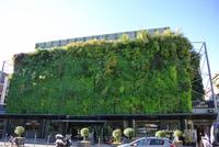 Markthalle in Avignon