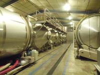 Hier reift der Cassis