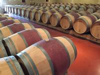 203_Weinprobe Château d'Aney