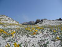 11.04.: am Ostriconi-Strand