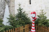 Spaziergang durch Vence