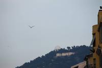 Rückfahrt nach Nizza