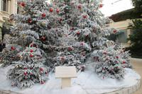 Stadtrundfahrt Monaco - Monte Carlo